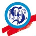 VfL Sindelfingen VfL Sindelfingen